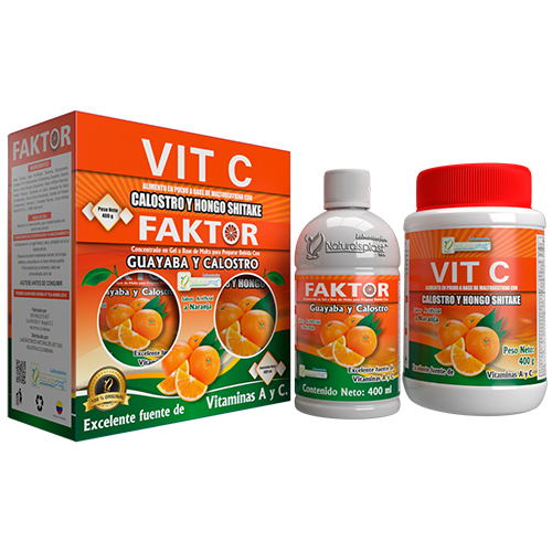 MOCKUP KIT PEQUEÑO VIT C FAKTOR-Vista actual